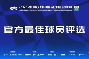  中超第29轮最佳候选：王燊超、钟义浩、法比奥、泽卡、兰克尔泽